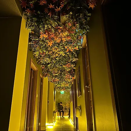 Hotel Edwin Istanbulská provincie
