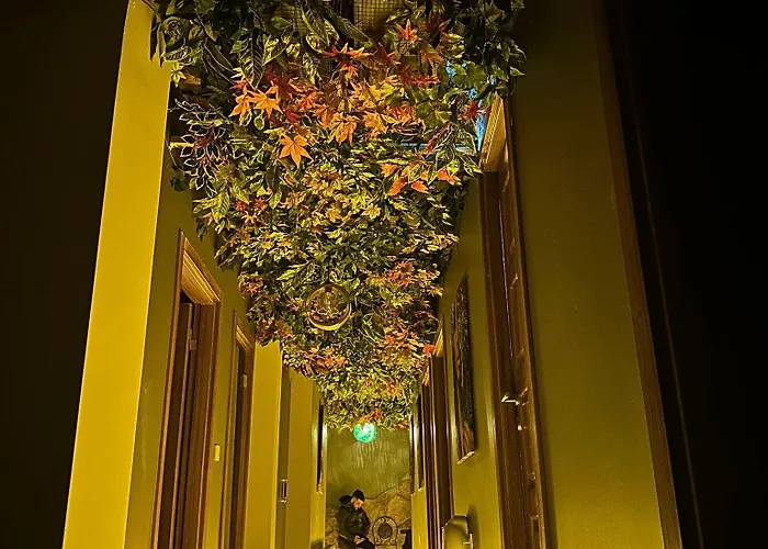 Hotel Edwin Istambul